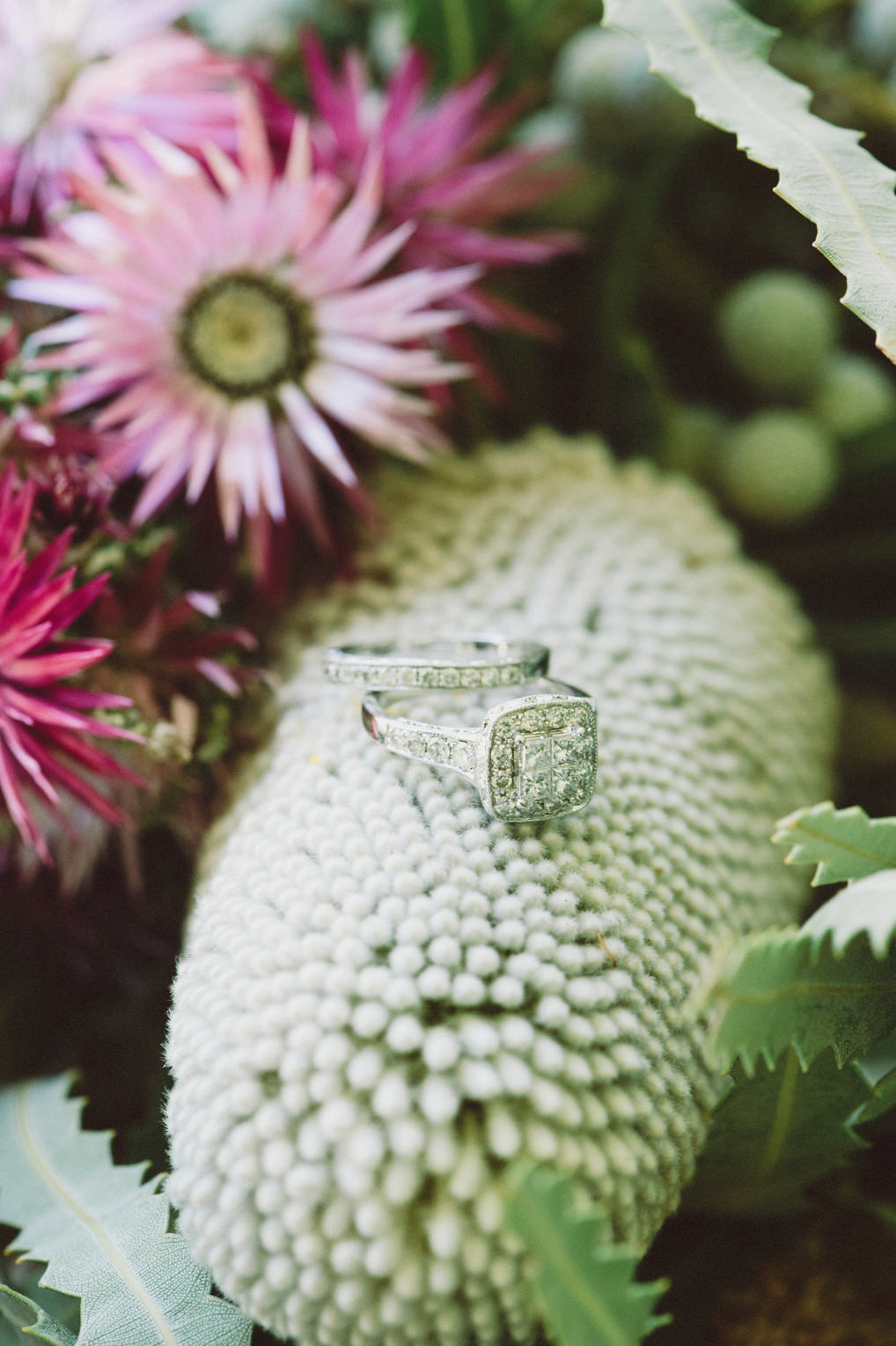 Kate_Matt_Bunny_Farm_ Margaret River Wedding_Photography_Zaneta Van Zyl-19