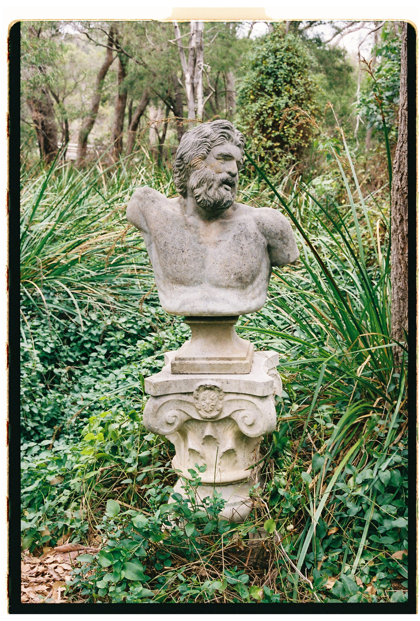 Luxury wedding portrait on 35mm film at La Forêt Margaret River